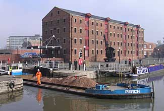 Perch Entering Main Basin